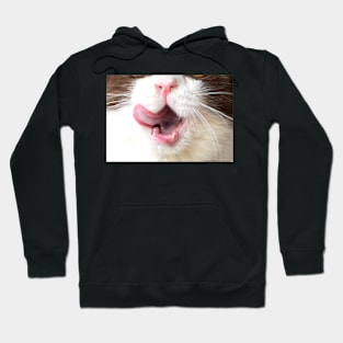 Cat with Tongue Face Hoodie